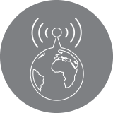 grey_globe_icon