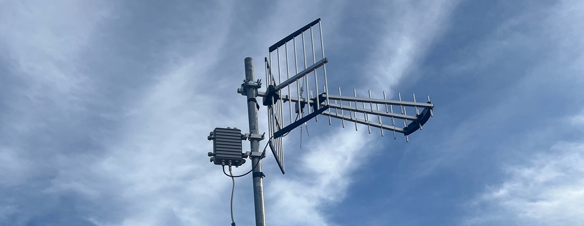 yagi